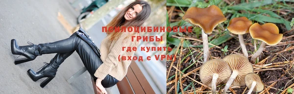 ALPHA PVP Вуктыл