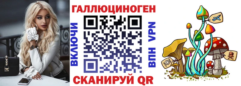 МЕГА ONION  Курчалой  маркетплейс телеграм  как найти закладки  Псилоцибиновые грибы MAGIC MUSHROOMS 