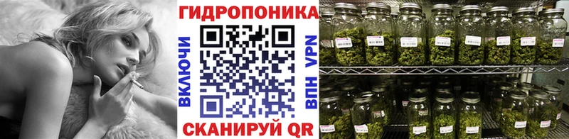 МАРИХУАНА ГИДРОПОН  Курчалой 